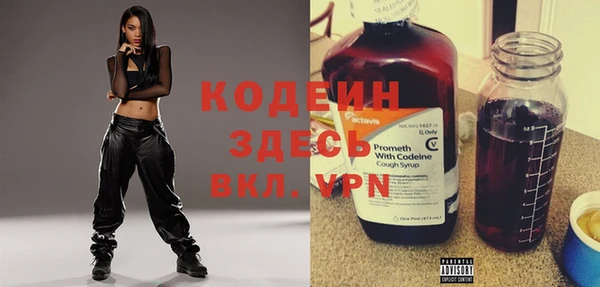 прущие грибы Инсар