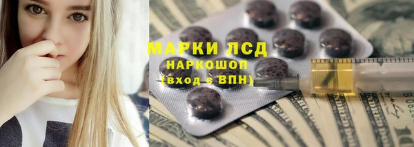 прущие грибы Инсар