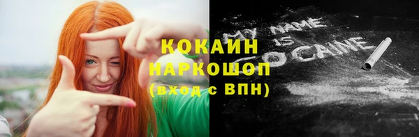 прущие грибы Инсар