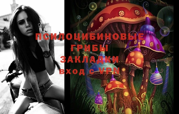 прущие грибы Инсар