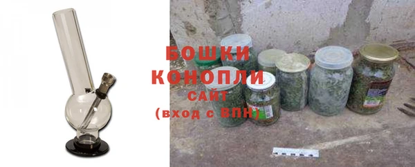 прущие грибы Инсар