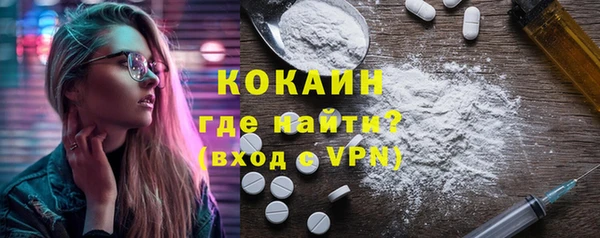 прущие грибы Инсар