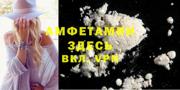 прущие грибы Инсар