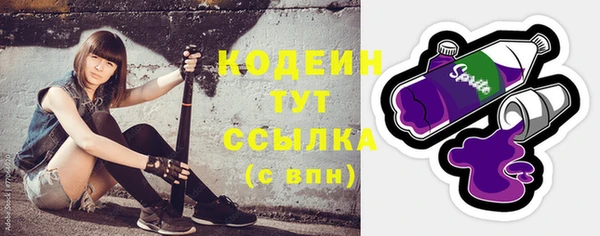 прущие грибы Инсар