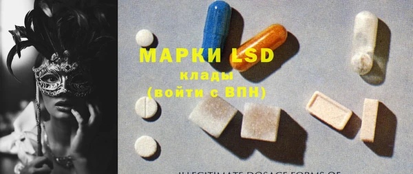 прущие грибы Инсар
